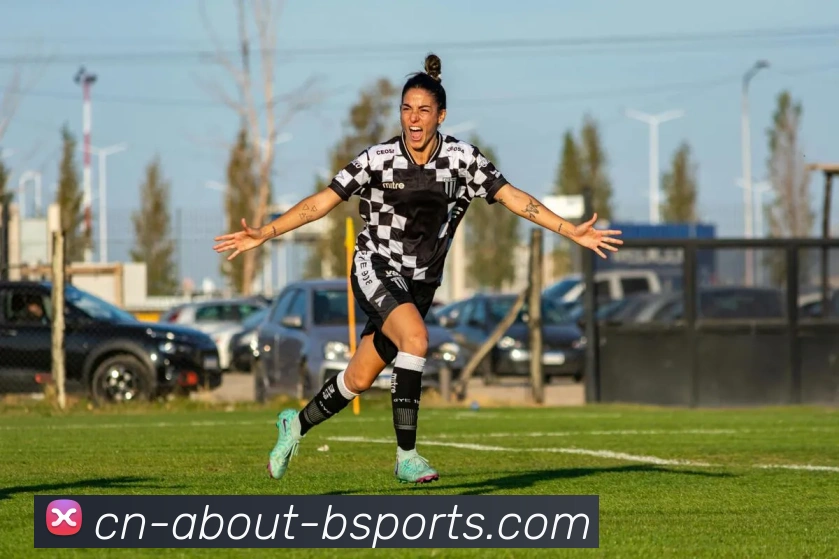 B体育平台生态图